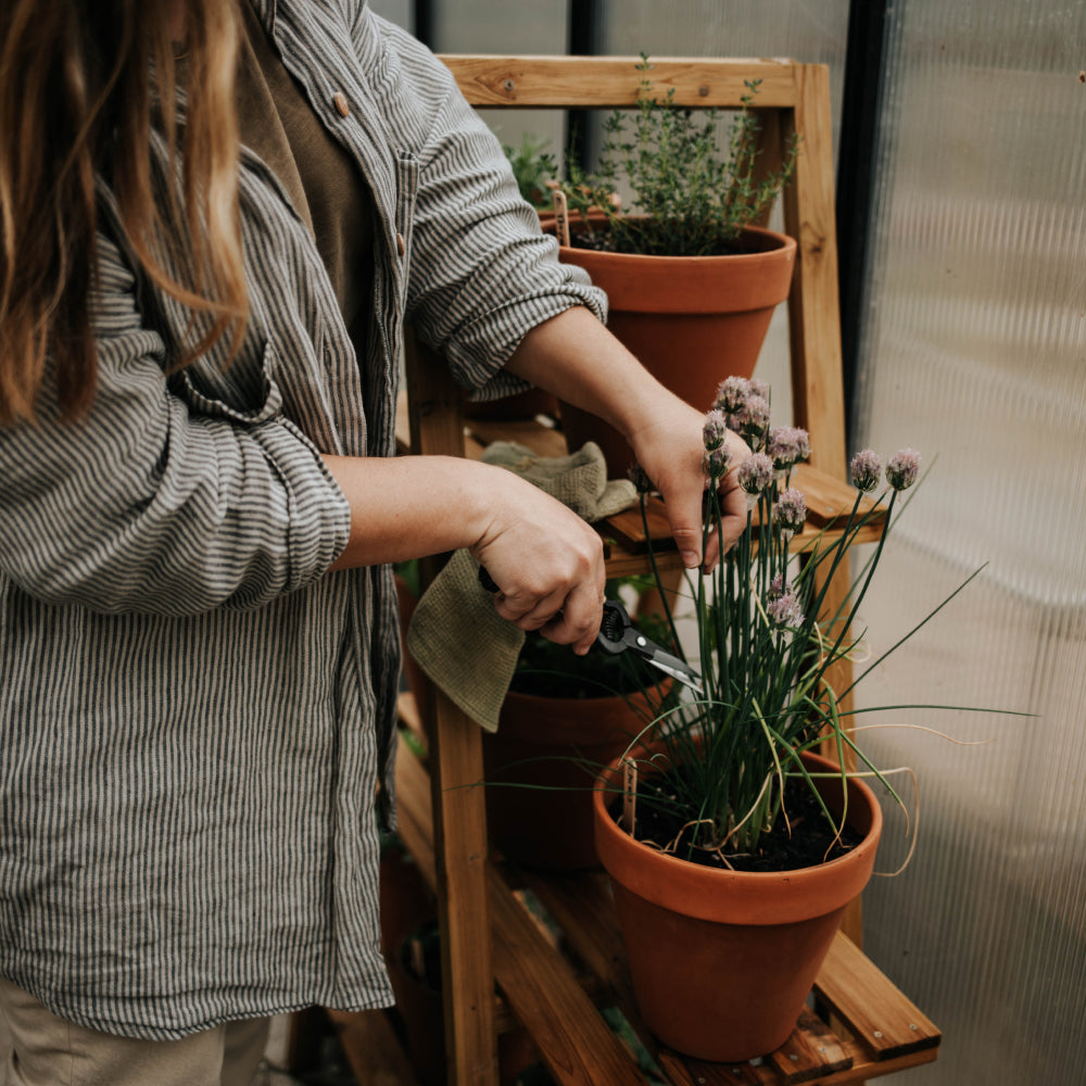 Cultivating Wabi Sabi in the Garden