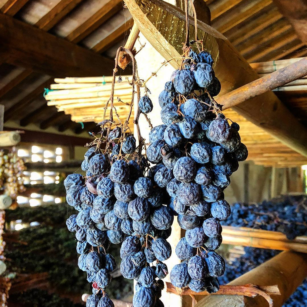 Life, by the glass.