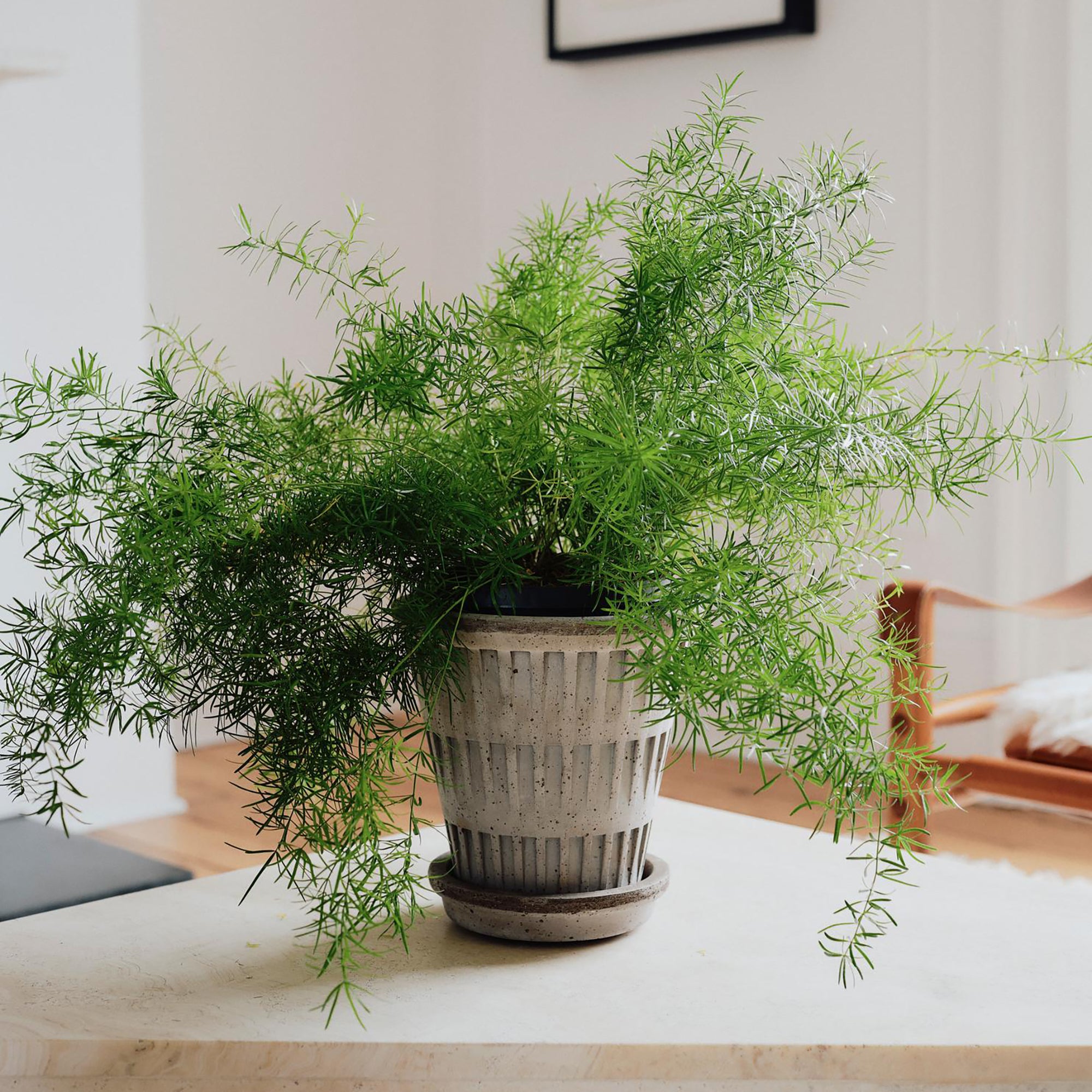 Goodee-Bergs Potter-Pantheon Ø14 Planter & Saucer - Color - Raw Grey