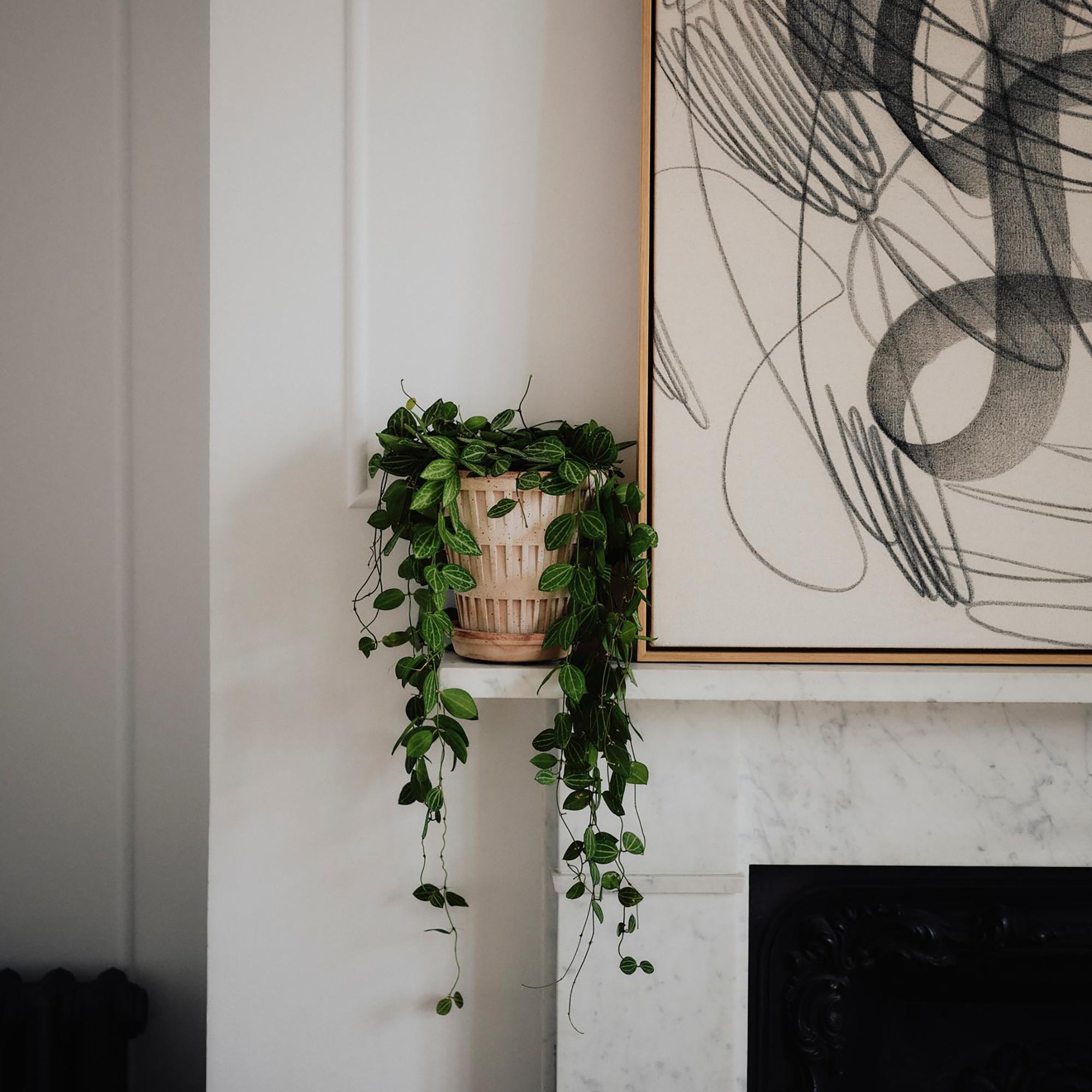 Goodee-Bergs Potter-Pantheon Ø14 Planter & Saucer - Color - Raw Rosa
