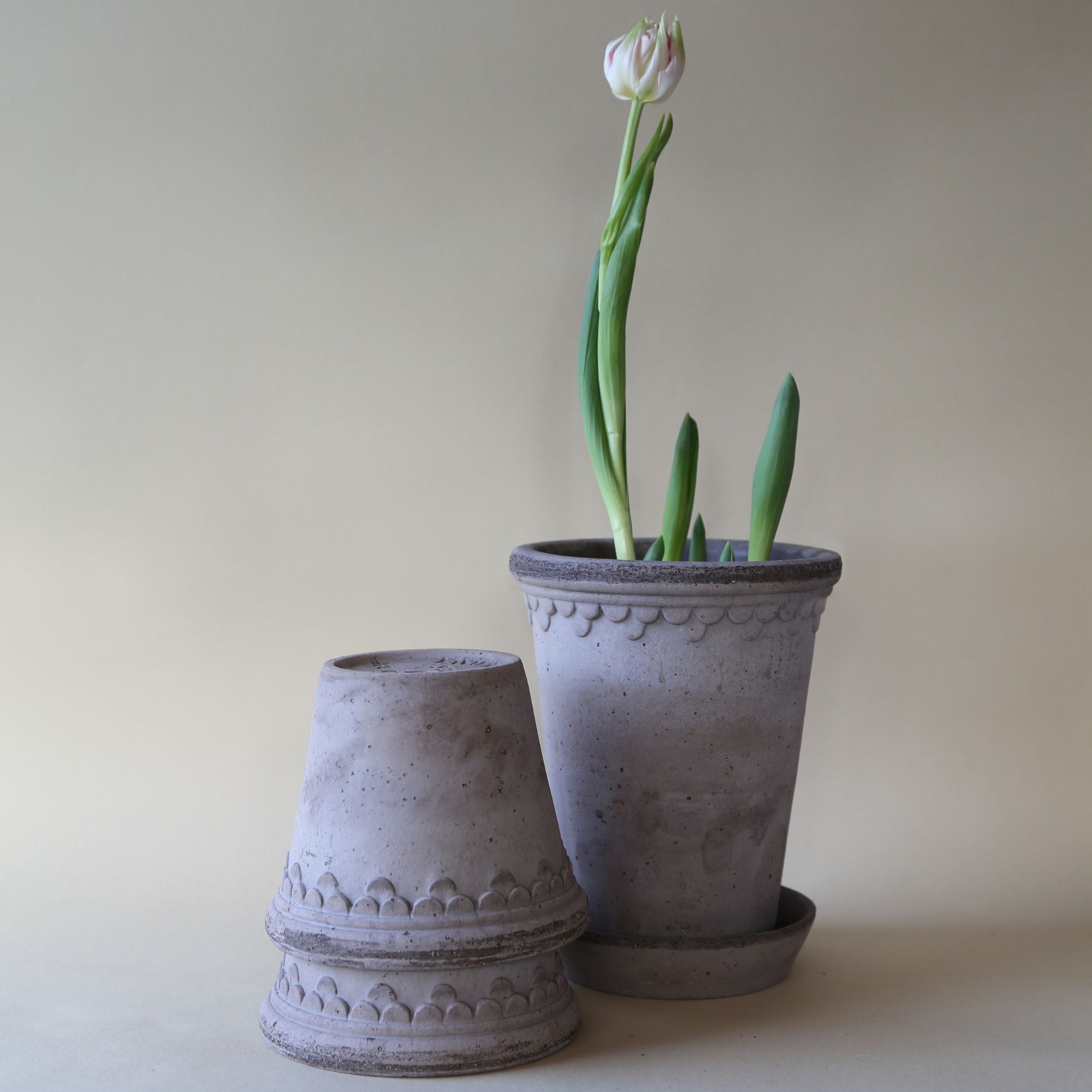 Goodee-Bergs Potter-Copenhagen Ø18 Tall Planter & Saucer - Color - Raw Grey