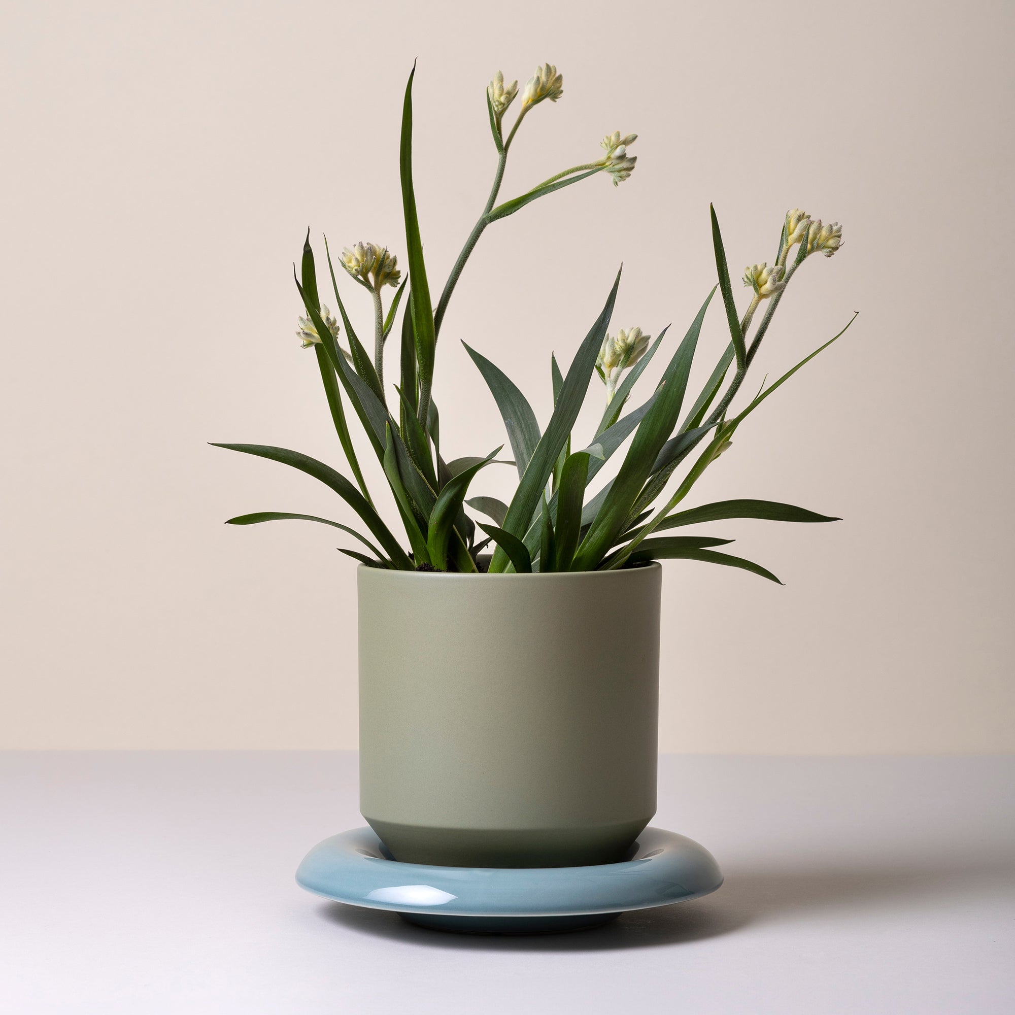 Goodee-Bergs Potter-Lily Ø14 Saucer & Planter - Color - Misty Blue Glazed