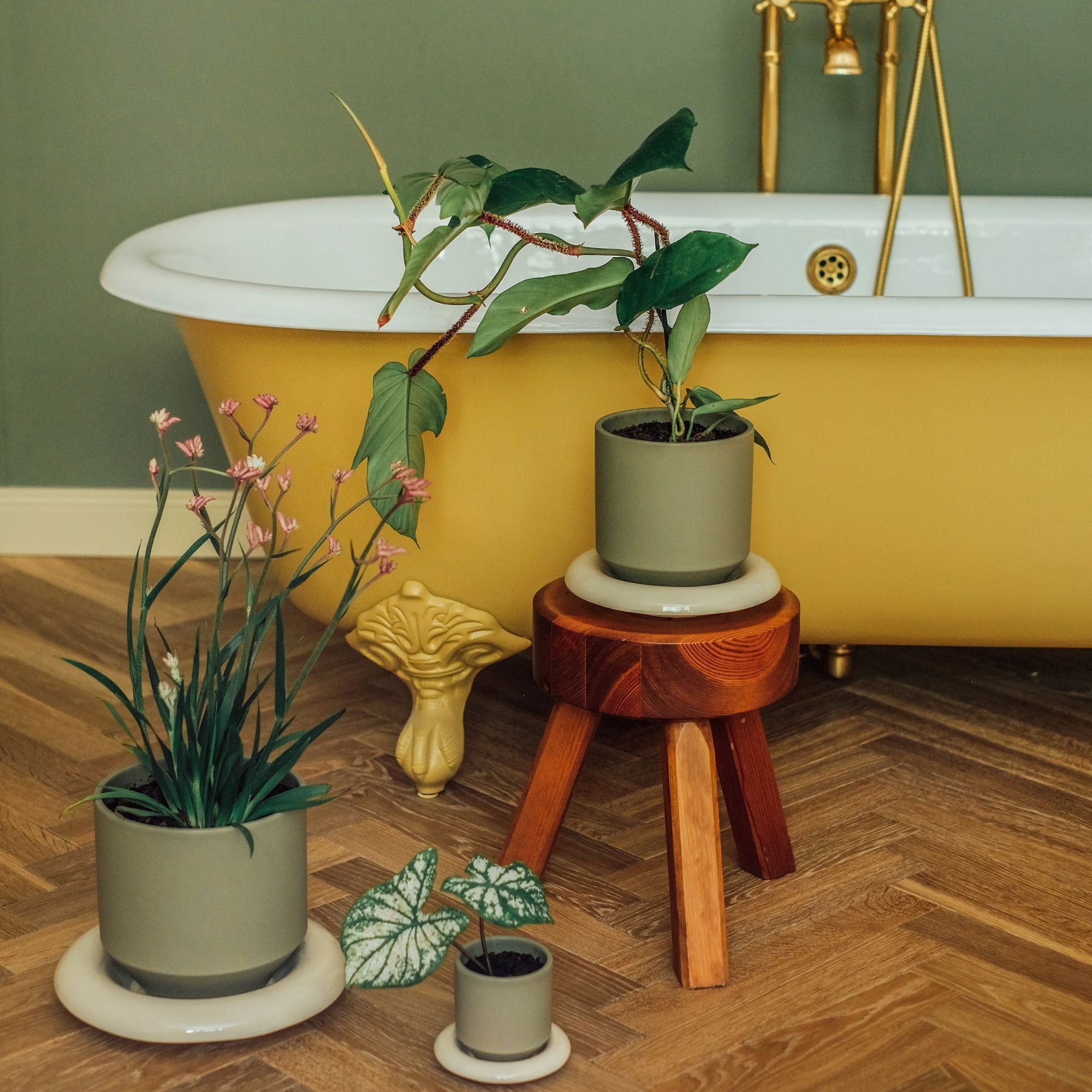Goodee-Bergs Potter-Lily Saucer & Planter - Color - Sandstone Glazed