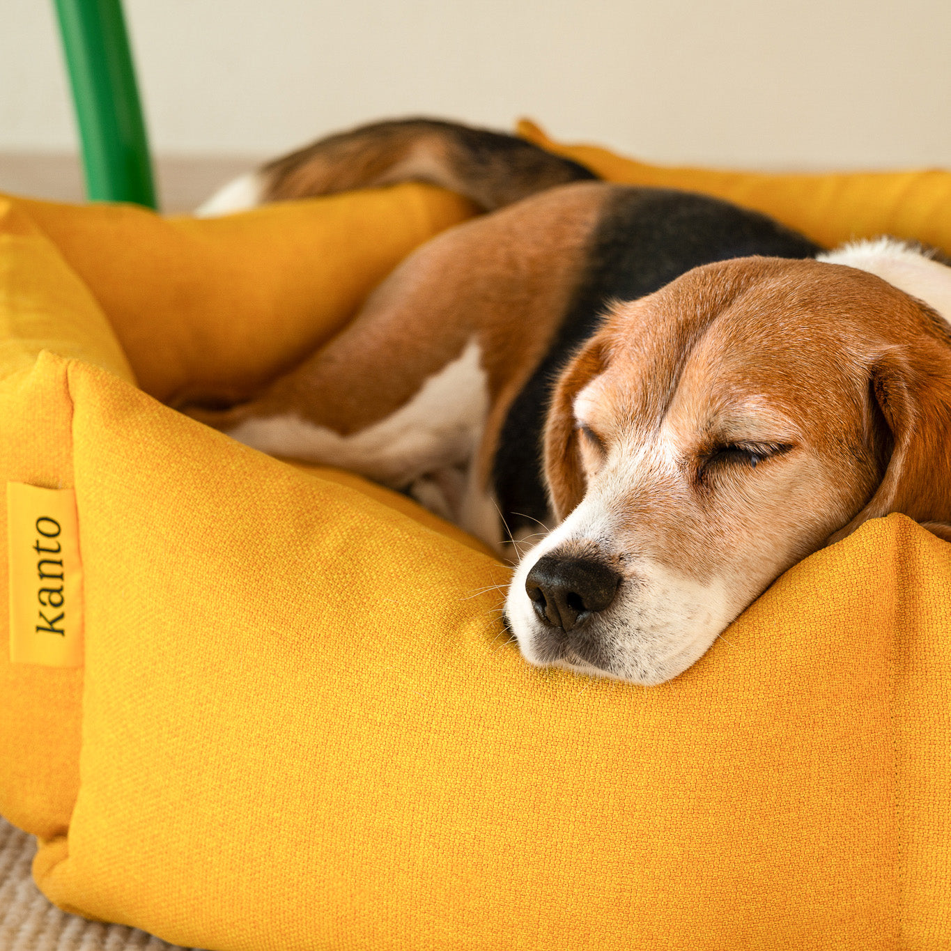 Goodee-kanto-luoto-dog-bed-signature
Color: honey