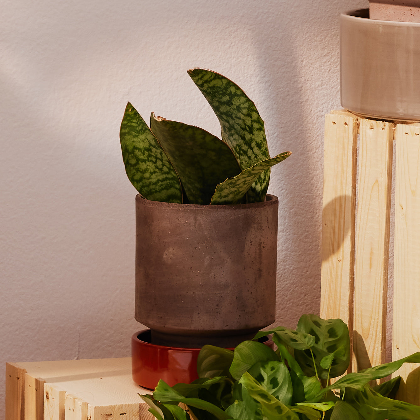 Goodee-Bergs Potter-Hoff Planter 14 - Color - Raw Grey