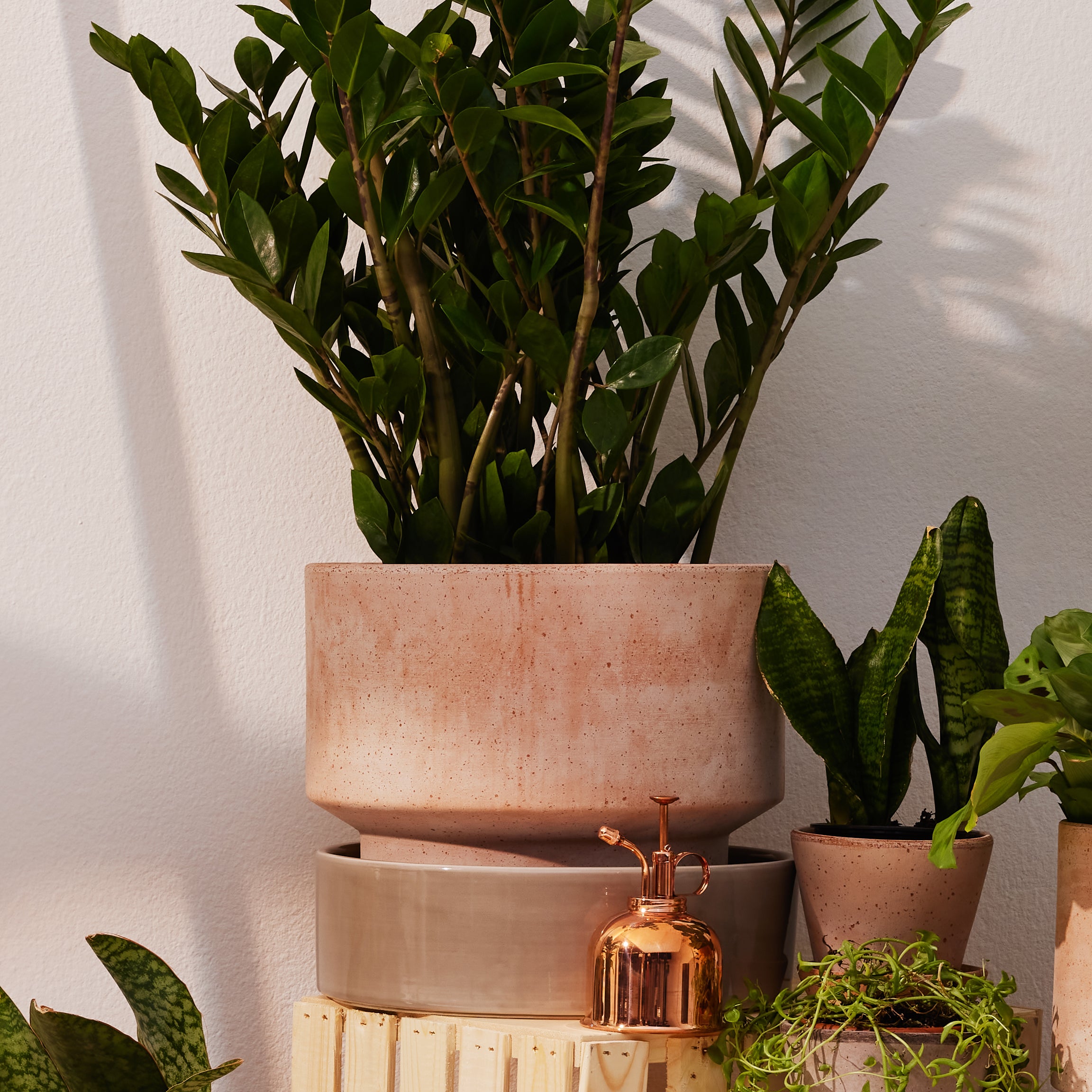 Goodee-Bergs Potter-Hoff Ø30 Planter - Color - Raw Rosa