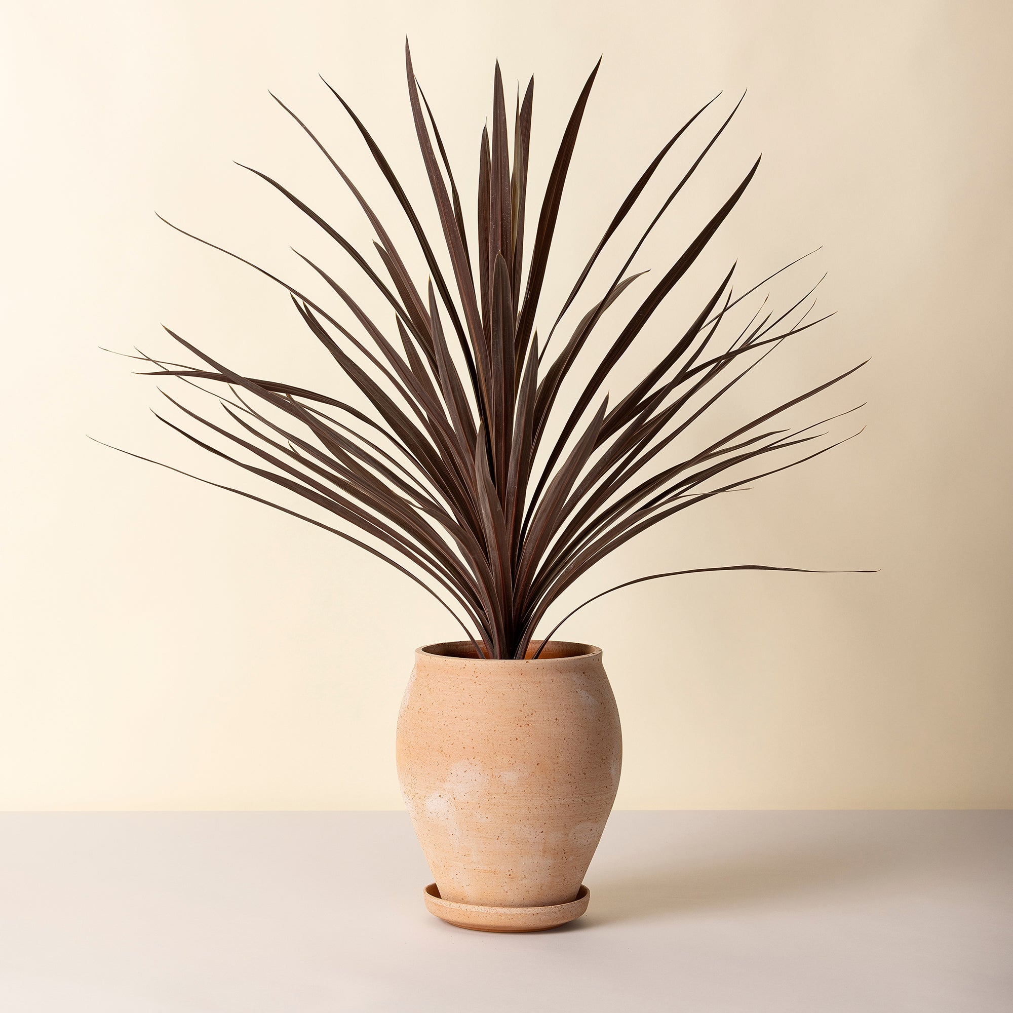 Goodee-Bergs Potter-Delphi Ø22 Tall Planter & Saucer - Color - Raw Rosa