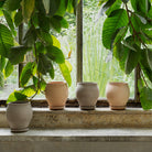 Goodee-Bergs Potter-Delphi Tall Planter & Saucer - Color - Raw Rosa Raw Grey