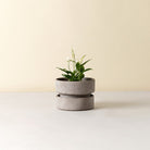 Goodee-Bergs Potter-Hoff Ø25 Saucer - Color - Raw Grey