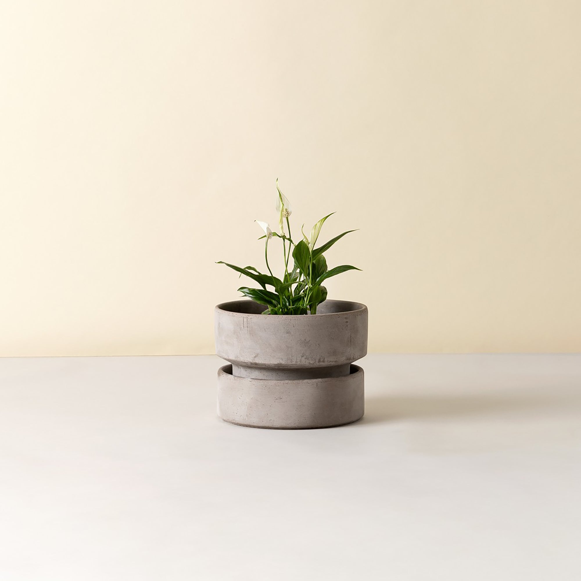 Goodee-Bergs Potter-Hoff Ø25 Saucer - Color - Raw Grey