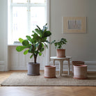 Goodee-Bergs Potter-Modena Ø35 Planter & Saucer
