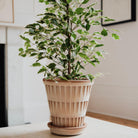 Goodee-Bergs Potter-Pantheon Ø14 Planter & Saucer - Color - Raw Rosa