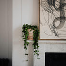 Goodee-Bergs Potter-Pantheon Ø14 Planter & Saucer - Color - Raw Rosa