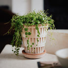 Goodee-Bergs Potter-Pantheon Ø14 Planter & Saucer - Color - Raw Rosa