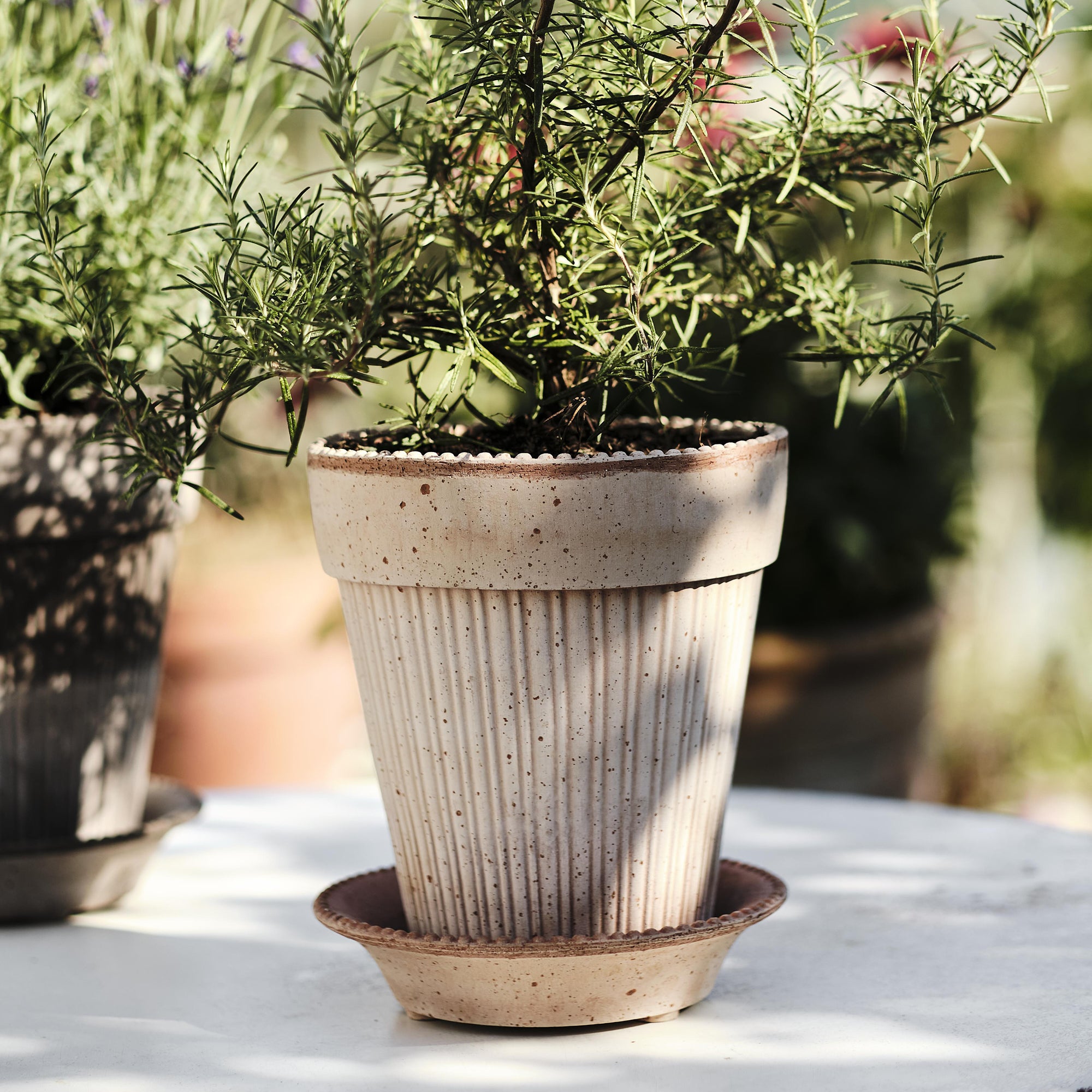 Goodee-Bergs Potter-Simona Ø18 Planter & Saucer Gift Set - Color - Raw Rosa