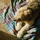 Goodee-Mungo-Fido Woven Cotton Dog Blanket-Stella - Color - Stella