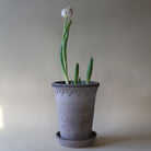 Goodee-Bergs Potter-Copenhagen Tall Planter & Saucer - Color - Raw Grey