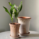 Goodee-Bergs Potter-Copenhagen Ø14 Tall Planter & Saucer - Color - Raw Rosa
