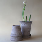 Goodee-Bergs Potter-Copenhagen Ø18 Tall Planter & Saucer - Color - Raw Grey