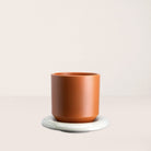 Goodee-Bergs Potter-Lily Ø14 Saucer - Color - Sandstone Glazed