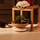 Goodee-Bergs Potter-Plant Trolley 25 - Color - Light Stone