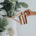 Goodee-Haws-The Fazeley Flow (Two Pint) - Color - Copper