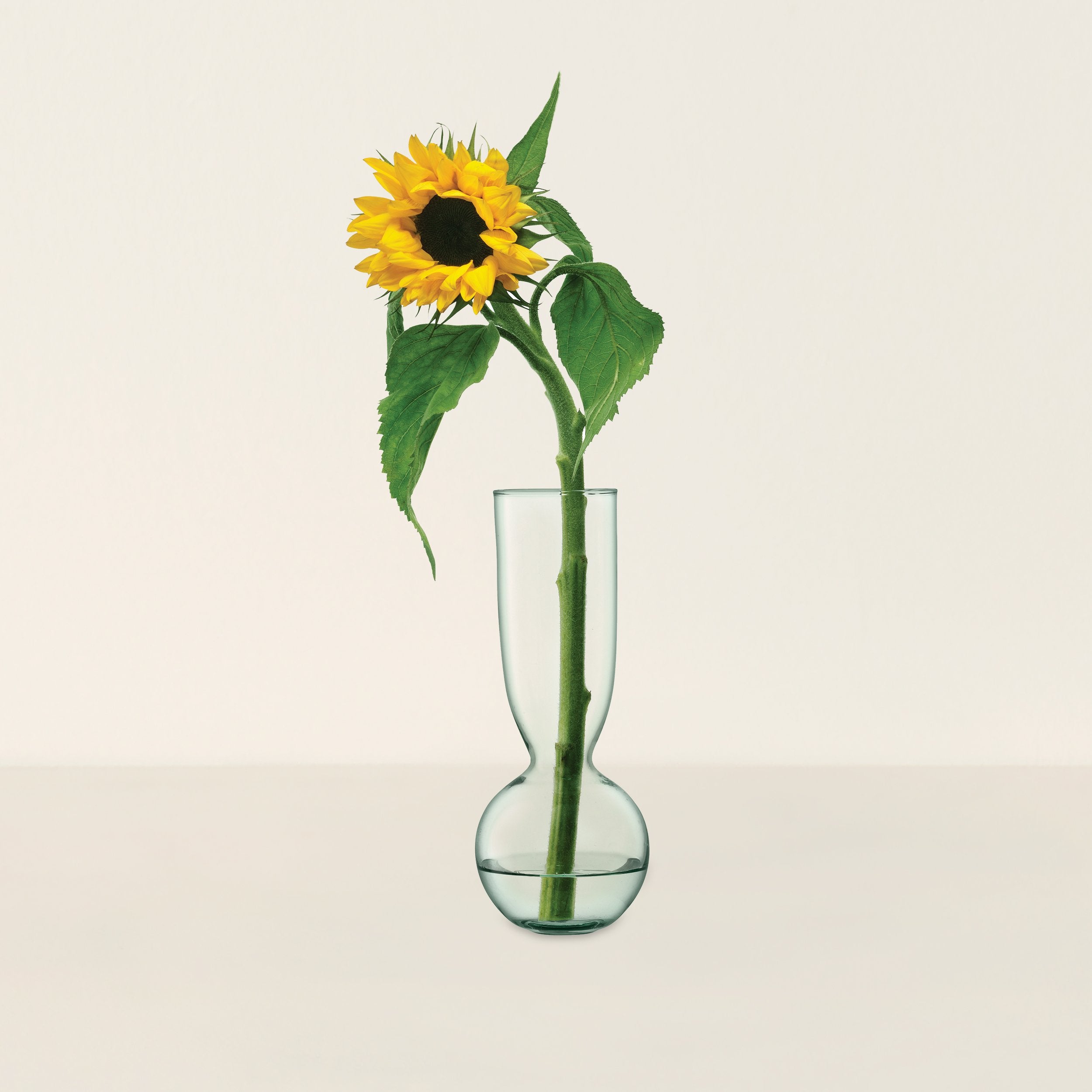 Goodee-LSA International-Canopy Trio Vase Set L
