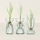 Goodee-LSA International-Canopy Trio Vase Set
