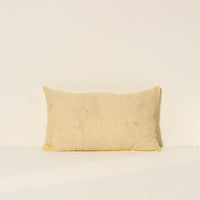 Lumbar Cushion Insert
