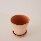 Goodee-Bergs Potter-Julie 17 - Color - Raw Rosa