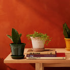 Goodee-Bergs Potter-Copenhagen 14 - Color - Raw Rosa & Emerald Glazed