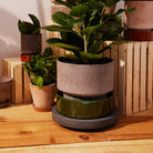 Goodee-Bergs Potter-Hoff Ø30 Planter - Color - Raw Grey